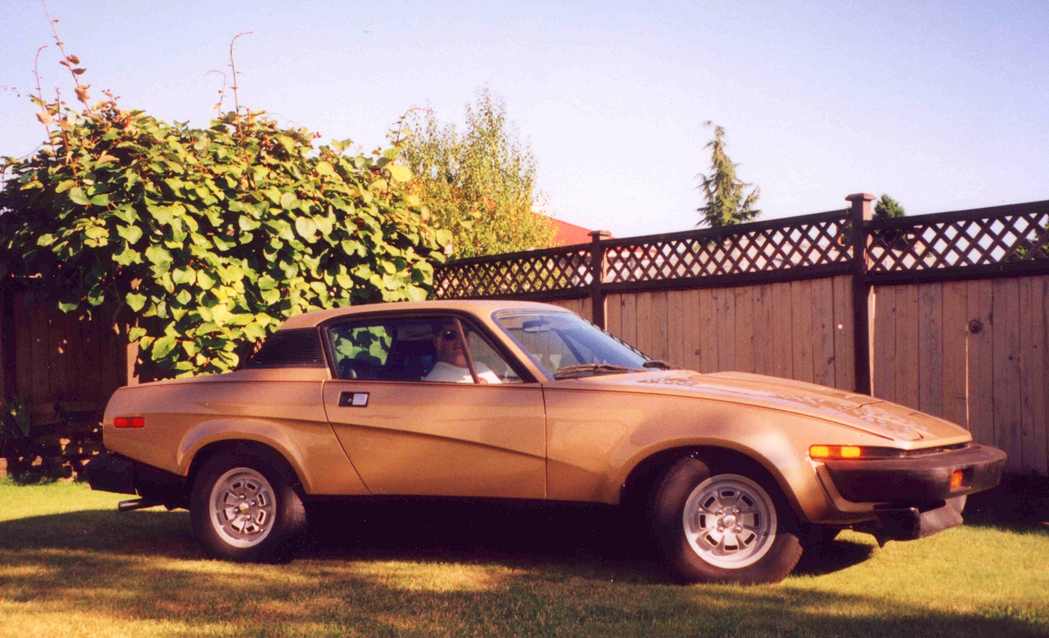 003 TR 8 Backyard.jpg